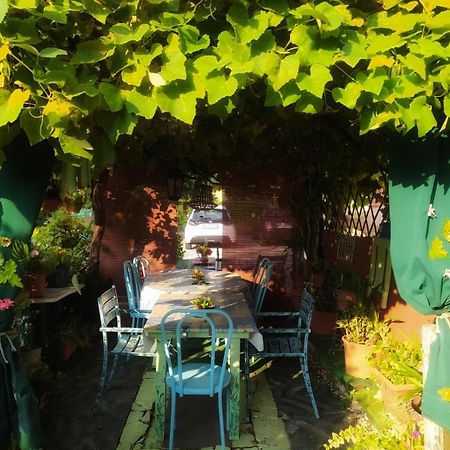 Art B&B La Casa Del Pittore 레비네라고 외부 사진