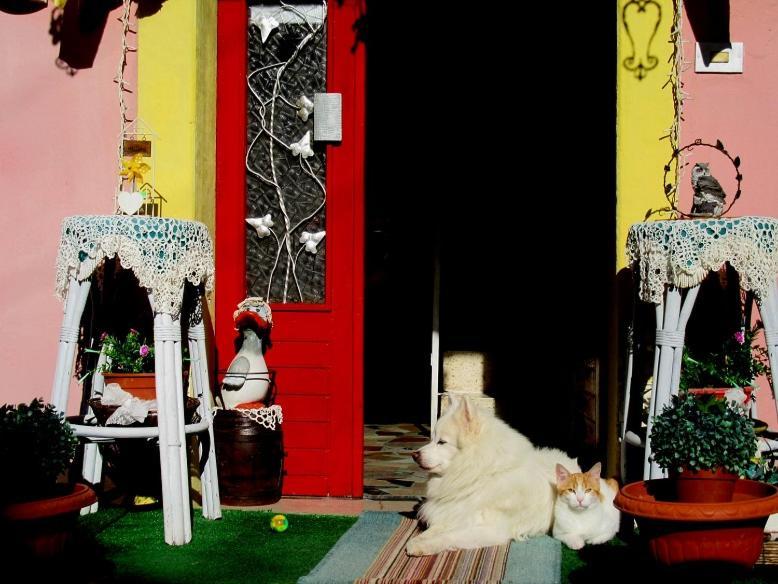 Art B&B La Casa Del Pittore 레비네라고 외부 사진